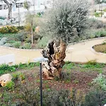 Costasud Rita's House Апартаменты *