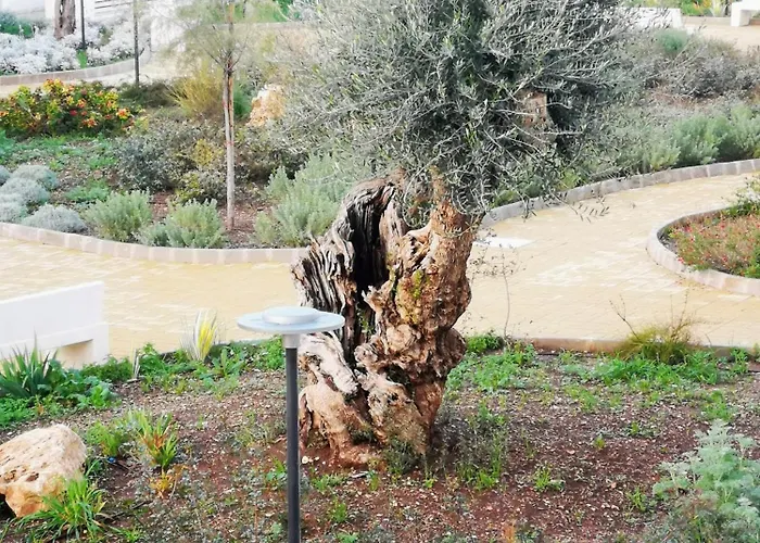 Costasud Rita's House Appartement *